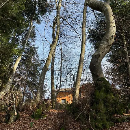 Alpesi faház Au Coeur Des Bois *