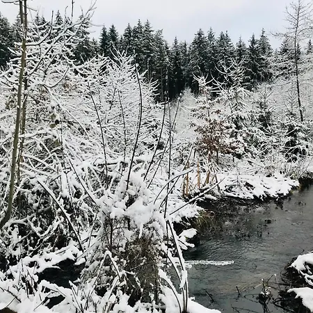 Alpesi faház Au Coeur Des Bois *