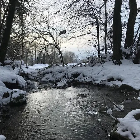 Au Coeur Des Bois *