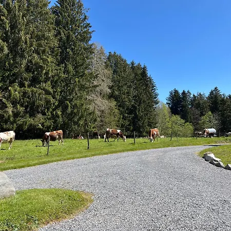 Au Coeur Des Bois Larringes