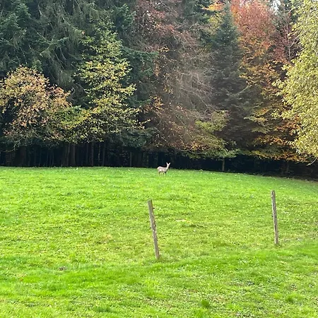 Au Coeur Des Bois Alpesi faház *