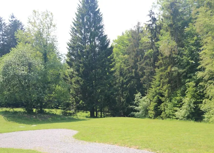 Au Coeur Des Bois
