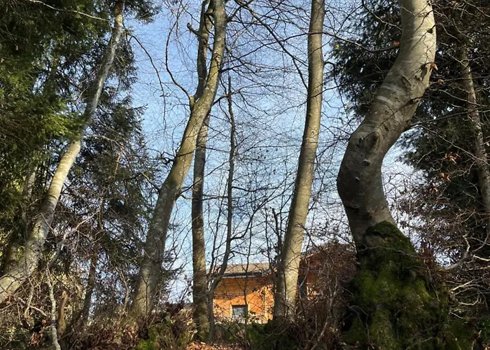 Alpstuga Au Coeur Des Bois *