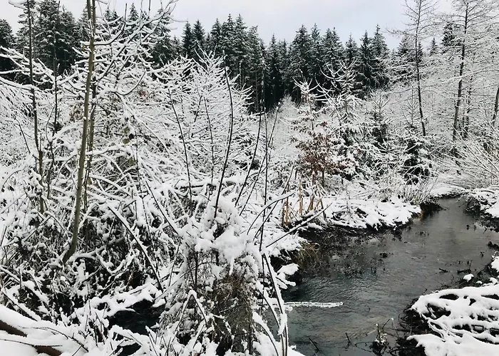 Alpstuga Au Coeur Des Bois *