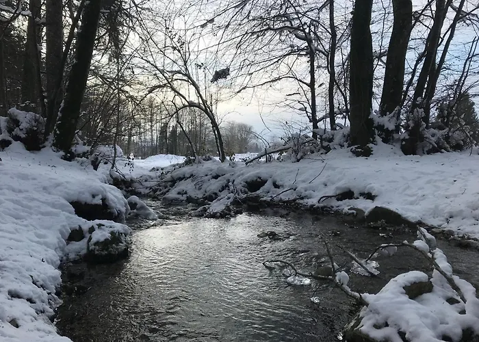 Au Coeur Des Bois *