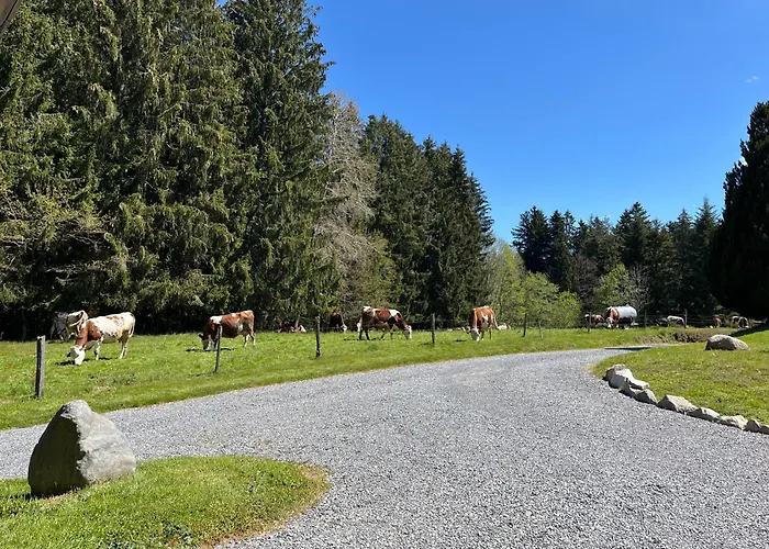 Au Coeur Des Bois Larringes